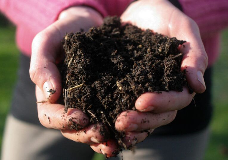 обработката на почвата като причина за заразяване с паразити