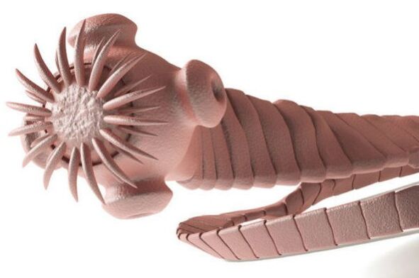 паразит от човешкото тяло