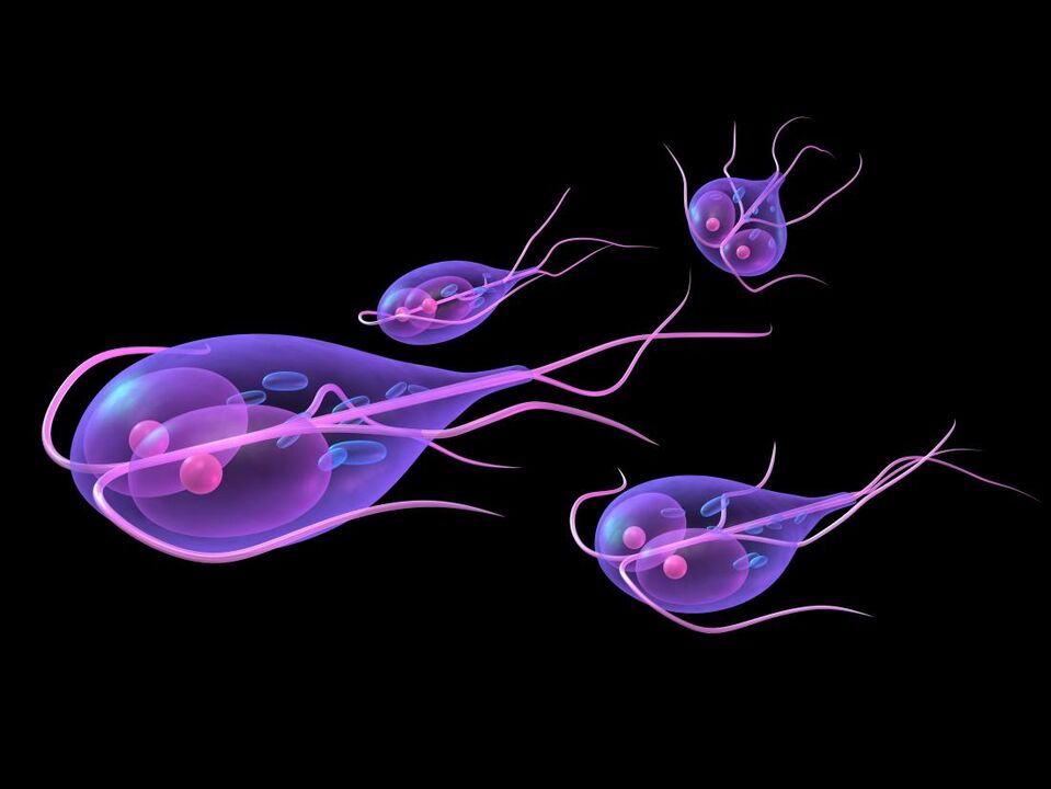 Giardia от човешкото тяло
